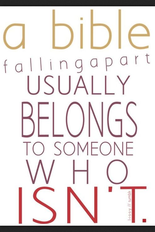 3f8aa12fd4375fb53408ed6dee2d70ca