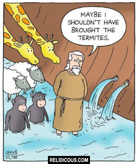 582303_328799643895695_190515731_n