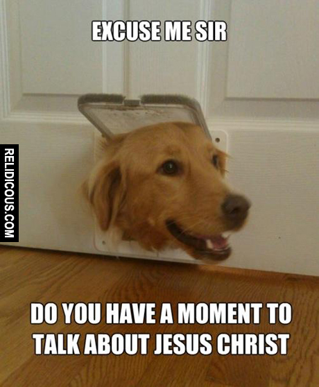 1157565_423807724404477_760927970_n