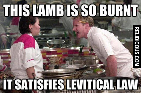 229651_376824979102752_2070174082_n