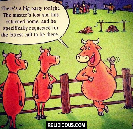 ae7624a768a8cbf022f6cff79c86644f