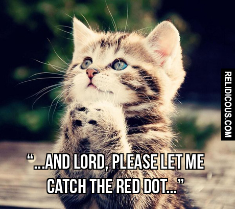 a_cats_prayer