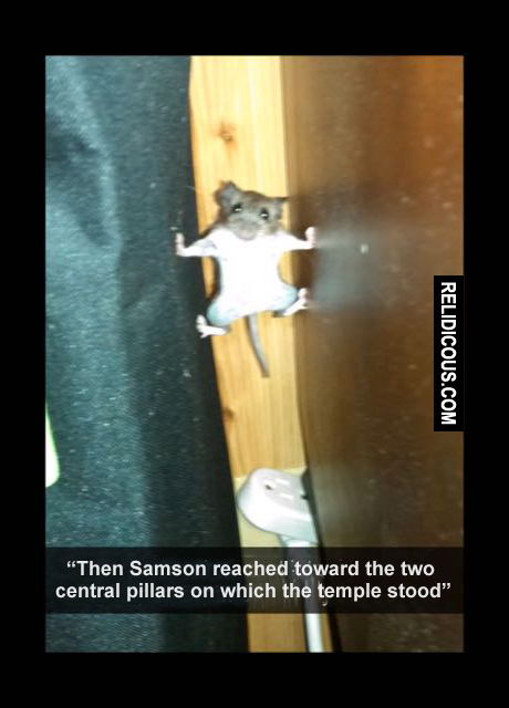 samson2