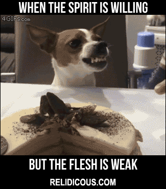 weak_flesh