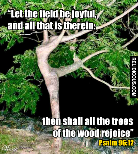 psalm_96.12
