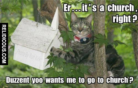 480319_251207961664455_1254100680_n