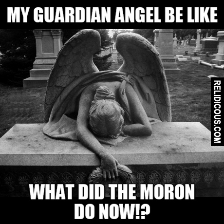 my-guardian-angel-be-like-what-did-the-moron-do-now