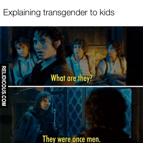 explaining_transgender